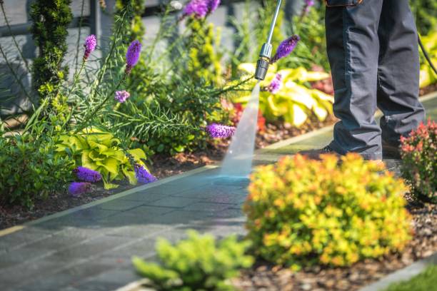 Best Residential Pressure Washing in North Patchogue, NY